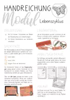 Vorschau - Unterrichtsreihen - Materialpaket zum Thema Schmetterlinge - Seite 2