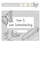 Vorschau - Unterrichtsreihen - Materialpaket zum Thema Schmetterlinge - Seite 3