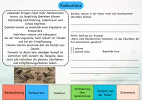 Vorschau - Interaktives Material - Evolution digital verstehen – Interaktiver Forschungsweg zu Darwin, Selektion und Anpassung - Seite 3