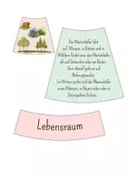 Vorschau - Präsentationen/Tafelbilder - Legekreis Marienkäfer - Seite 2