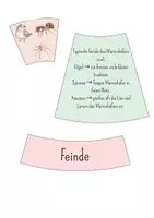 Vorschau - Präsentationen/Tafelbilder - Legekreis Marienkäfer - Seite 3