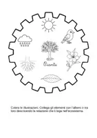 anteprima - Schede informative - Ecosistemi e cicli naturali a ingranaggio - Pagina di copertina