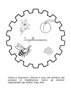 anteprima - Schede informative - Ecosistemi e cicli naturali a ingranaggio - Pagina 3