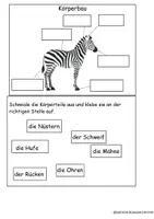 Vorschau - Arbeitsblätter - Das Zebra_Lapbook - Seite 2