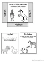 Vorschau - Arbeitsblätter - Das Zebra_Lapbook - Seite 3