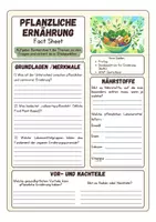 Vorschau - Arbeitsblätter - Fact Sheet - Pflanzliche Ernährung - Deckblatt