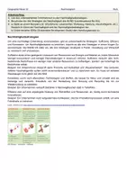 Vorschau - Arbeitsblätter - Nachhaltigkeit - AB + Verlauf/Lösungen - Seite 3