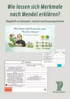 Vorschau - Arbeitsblätter - Wie lassen sich Merkmale nach Mendel erklären? – Klappheft zu dominant, rezessiv und Kreuzungsschema - Deckblatt