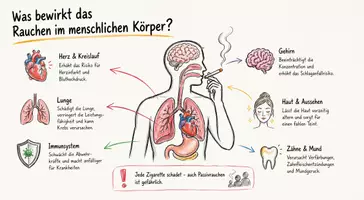 Vorschau - Arbeitsblätter - Arbeitsblatt "Gesundheitsgefährdung durch Rauchen, Alkoholkonsum und Medikamentenmissbrauch" + interaktive Lösung & MP3 + Infografik - Seite 1