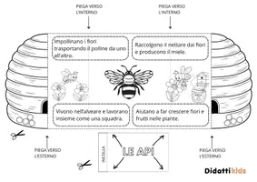 anteprima - Materiale di supporto/inclusione - Giornata della api ALVEARE lapbook scuola primaria - Pagina 1
