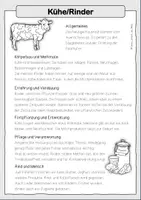 Vorschau - Arbeitsblätter - Rinder / Kühe - Sachtext, Kartei und Arbeitsblatt - Seite 3