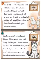 Vorschau - Arbeitsblätter - Schreibschrift (LA): Abschreibkartei Hunde / Hunderassen - Seite 2