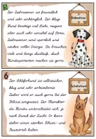 Vorschau - Arbeitsblätter - Schreibschrift (LA): Abschreibkartei Hunde / Hunderassen - Seite 3