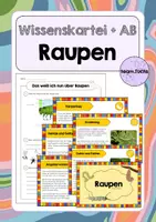 Vorschau - Arbeitsblätter - Raupen: Kleine Wissenskartei + Tafelmaterial - Deckblatt