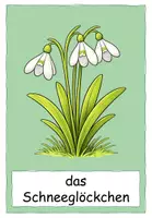 Vorschau - Präsentationen/Tafelbilder - Frühblüher Tafelmaterial - Seite 3
