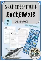 Vorschau - Arbeitsblätter - Buckelwal: Leseweg 3-fach differenziert - Deckblatt