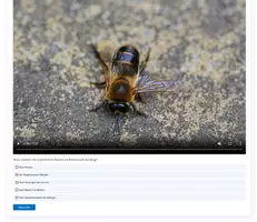 Vorschau - Videos - Honig - Interaktives Video /H5P/Moodle/HTML - Deckblatt