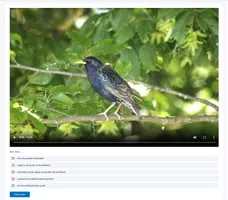 Vorschau - Videos - Star - Vogel 2018 Interaktives Video H5P/Moodle/HTML - Deckblatt