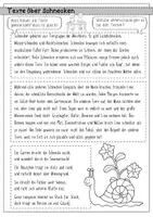 Vorschau - Arbeitsblätter - Sachtexte - Lesetexte mit Strategien und Aufgaben - Seite 2