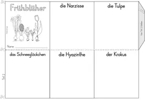 Vorschau - Anderer Materialtyp - Leporello Frühblüher - Seite 2