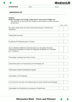 Vorschau - Arbeitsblätter - Abendsegler /Arbeitsblätter+Lösungen/PDF - Deckblatt