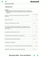 Vorschau - Arbeitsblätter - Abendsegler /Arbeitsblätter+Lösungen/PDF - Seite 1