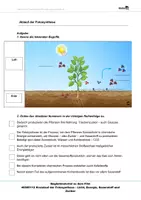 Vorschau - Arbeitsblätter - Ablauf-der-Fotosynthese Arbeitsblätter+Lösungen - Deckblatt