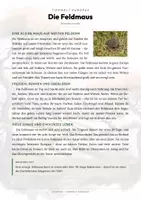 Vorschau - Arbeitsblätter - Feldmaus Steckbrief – Tiere Europas | Sachunterricht Grundschule Arbeitsblatt - Seite 1