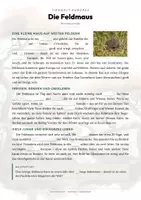 Vorschau - Arbeitsblätter - Feldmaus Steckbrief – Tiere Europas | Sachunterricht Grundschule Arbeitsblatt - Seite 2