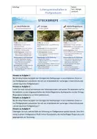 Vorschau - Arbeitsblätter - Ökologie: Lebensgemeinschaften in Fließgewässern (mit Lösung) - Seite 3