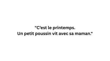 Aperçu - Préparation de séance / Séance complète - Kamishibai – Le petit poussin retrouve sa maman - Page 2
