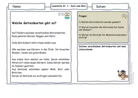 Vorschau - Arbeitsblätter - Getreide Klasse 1 Vom Korn zum Brot | Lesetexte & Sachtexte differenziert mit Lösungen - Seite 2