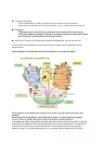 Vista previa - Unidades / Secuencias / Situaciones de Aprendizaje - CLASE DIDACTICA COMPLETA EVOLUCION - Portada