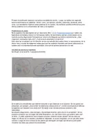 Vista previa - Unidades / Secuencias / Situaciones de Aprendizaje - CLASE DIDACTICA COMPLETA EVOLUCION - página 2
