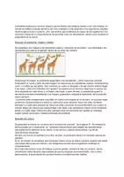 Vista previa - Unidades / Secuencias / Situaciones de Aprendizaje - CLASE 4, 5, 6 Y 7 SECUENCIA COMPLETA DE EVOLUCION - página 3