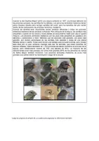 Vista previa - Unidades / Secuencias / Situaciones de Aprendizaje - CLASE 4, 5, 6 Y 7 SECUENCIA COMPLETA DE EVOLUCION - Portada