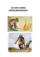 anteprima - Materiale di supporto/inclusione - homo heidelbergensis (con verifica) - Pagina 1