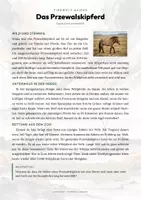 Vorschau - Arbeitsblätter - Przewalskipferd Steckbrief – Tiere Asiens | Sachunterricht Grundschule Arbeitsblatt - Seite 1