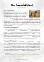 Vorschau - Arbeitsblätter - Przewalskipferd Steckbrief – Tiere Asiens | Sachunterricht Grundschule Arbeitsblatt - Seite 2