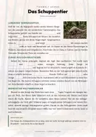 Vorschau - Arbeitsblätter - Schuppentier Steckbrief – Tiere Asiens | Sachunterricht Grundschule Arbeitsblatt - Seite 2