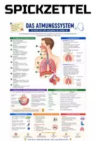 Vorschau - Merkblätter - Atmungssystem - Spickzettel & Übersicht Biologie - Deckblatt