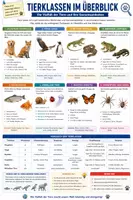Vorschau - Merkblätter - Tierklassen im Überblick - Spickzettel & Übersicht Biologie - Seite 1