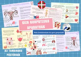 Vista previa - Refuerzo / NEE / Materiales de apoyo - GIZA GURPUTZEKO APARATUAK POSTERRAK - página 1