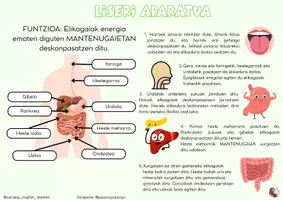Vista previa - Refuerzo / NEE / Materiales de apoyo - GIZA GURPUTZEKO APARATUAK POSTERRAK - página 2