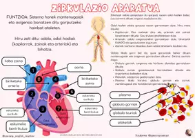 Vista previa - Refuerzo / NEE / Materiales de apoyo - GIZA GURPUTZEKO APARATUAK POSTERRAK - página 3
