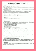 Vista previa - Refuerzo / NEE / Materiales de apoyo - Supuestos prácticos para identificar la dislexia. - página 1