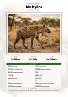 Vorschau - Arbeitsblätter - Hyäne Steckbrief – Tiere Afrikas | Sachunterricht Grundschule Arbeitsblatt - Deckblatt