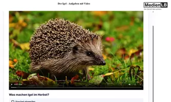 Vorschau - Videos - Der Igel - mit Video - H5P/Moodle/HTML - Deckblatt