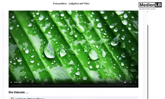 Vorschau - Videos - Fotosynthese - Aufgaben mit Video-H5P/Moodle/HTML - Deckblatt