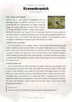 Vorschau - Arbeitsblätter - Kronenkranich Steckbrief – Lesetext, Lückentext, Weltkarte & Arbeitsblatt - Seite 1